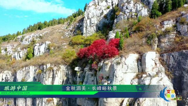 视频:金秋泗美ⷩ•🥳𐥳ꮐŠ秋景