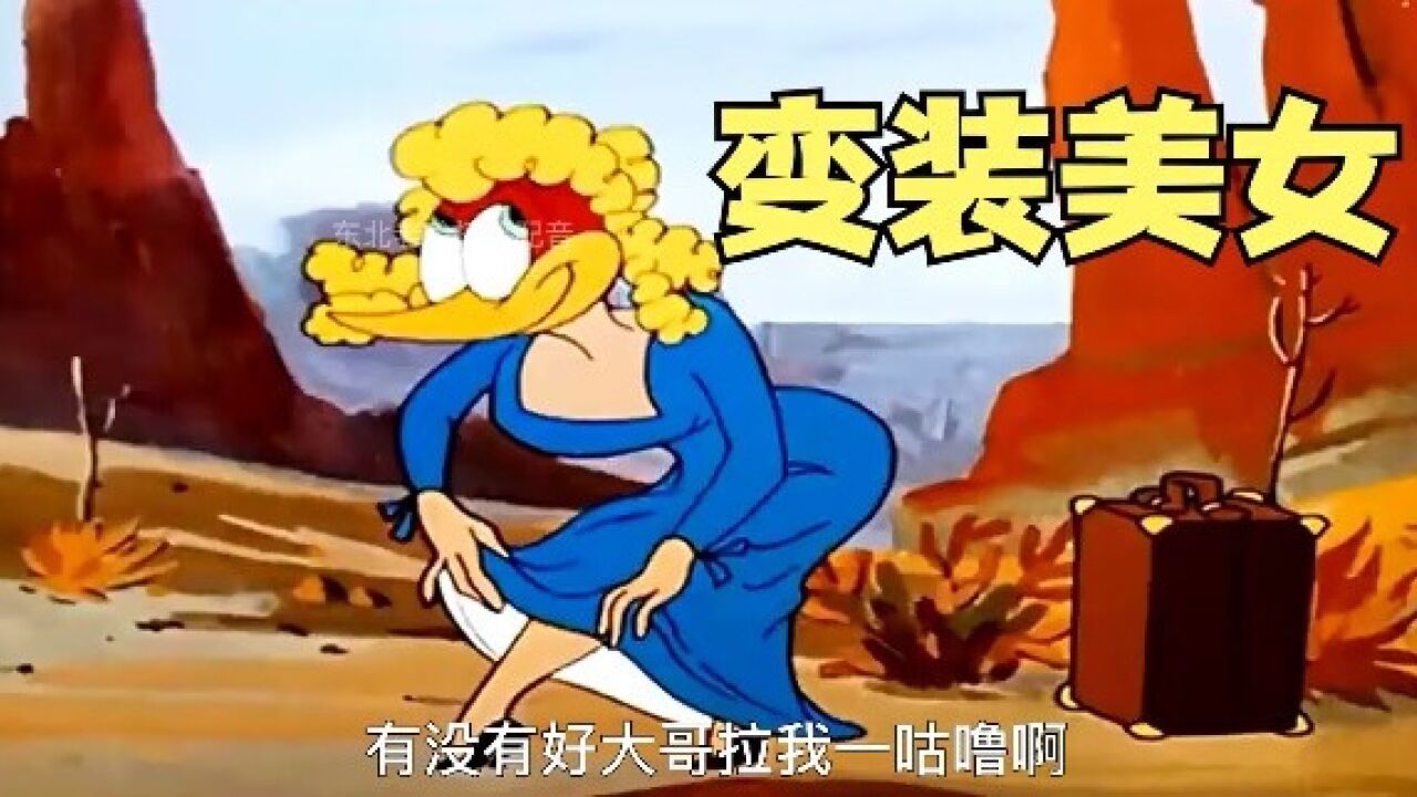 搞笑配音：啄木鸟假扮娘们坐车，秃鹫拦车被司机相中！_高清
