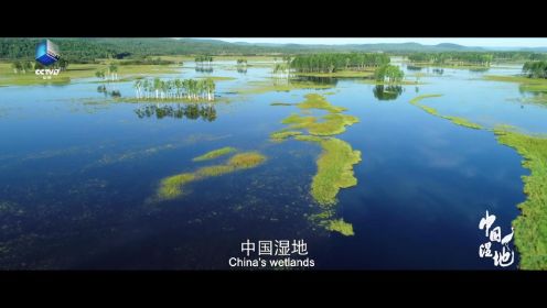 中国湿地——地球之肾