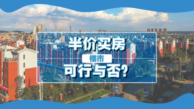 三胎政策没起到效果,专家建议的半价买房,能否照进现实?