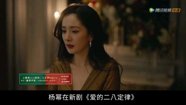 《爱的二八定律》“三高女精英”的择偶观现实?