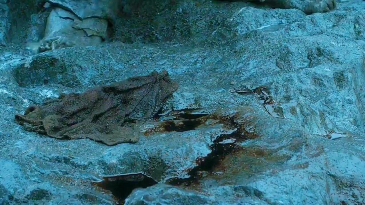 com/zrsqp7 "快手放映厅 该作品在快手被播放过150.