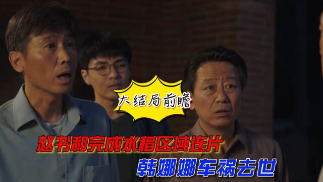 《山河锦绣》大结局前瞻,赵书和完成水稻区域连片,韩娜娜成为本剧的意难平