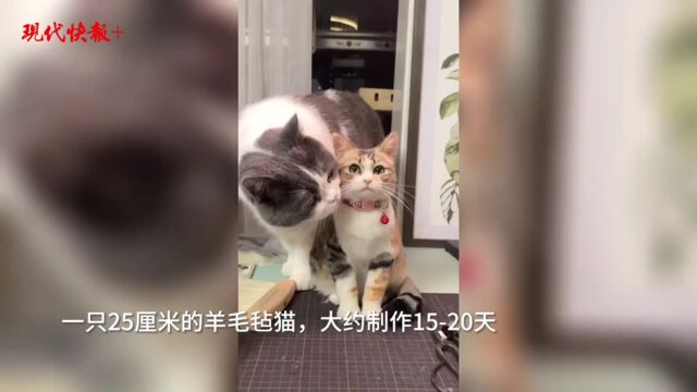 徐州女子制作“羊毛毡猫”爆火网络,订单已排到3年后