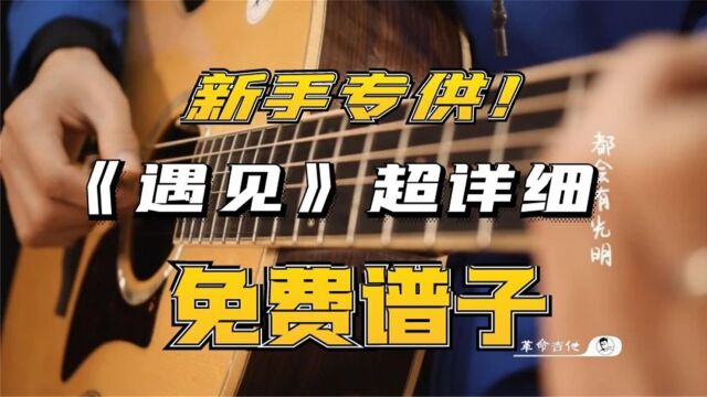 革命吉他NO.249孙燕姿《遇见》吉他教学弹唱教学