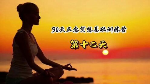 天3正念冥想课程第十二天#心灵疗愈 #心理咨询师占磊