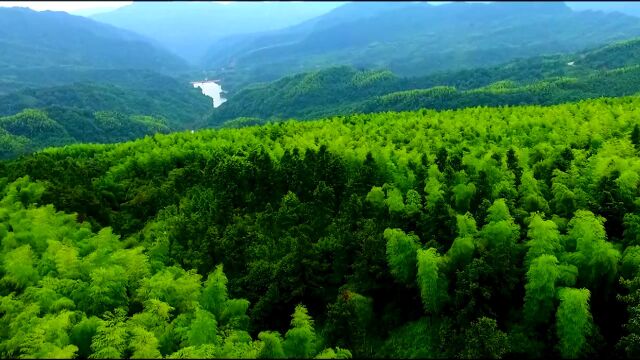 赤水竹丝的指尖舞蹈 造就极致东方美学|“好山好水好人”全国党媒联动报道