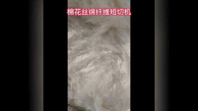 棉花丝绵纤维短切机 蚕丝棉打碎机 织物粉碎机 出料粒度可调棉花丝绵纤维短切机#蚕丝棉打碎机#织物粉碎机#纤维棉细碎机#珍珠棉粉碎打散机#仿丝绵破碎机