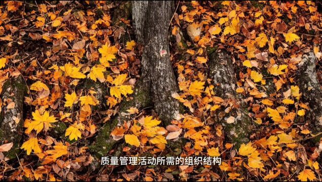 通俗易懂地理解ISO9001质量管理体系