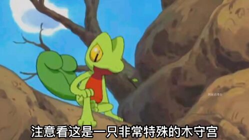 小智在芳缘地区收服的第二只神奇宝贝木守宫!