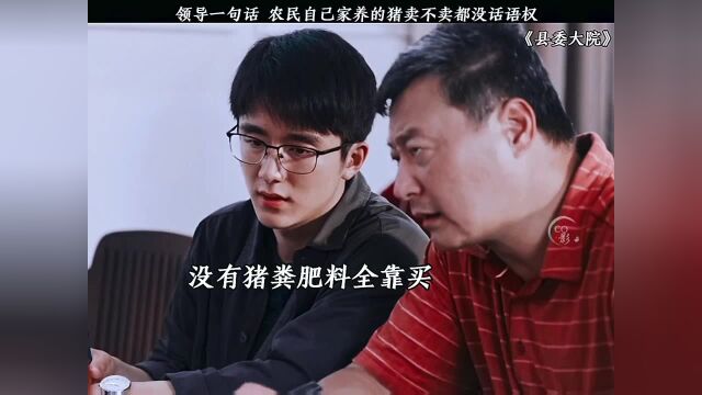 没钱没权,领导动动口农民唯一的养猪收入来源就没了