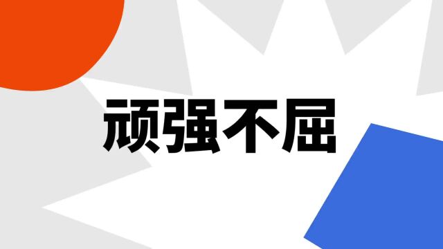 “顽强不屈”是什么意思?