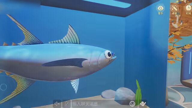 我的水族馆