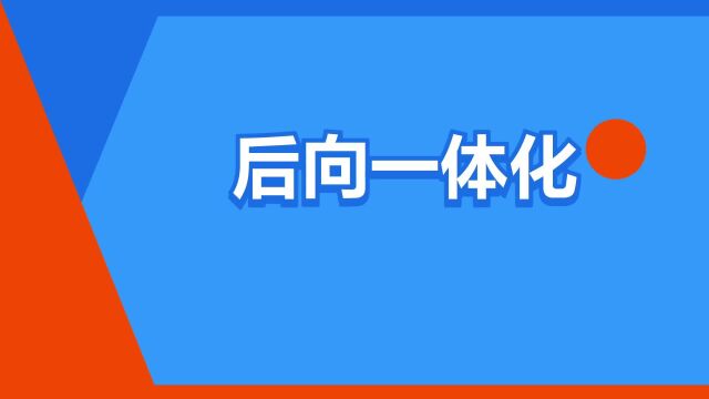 “后向一体化”是什么意思?