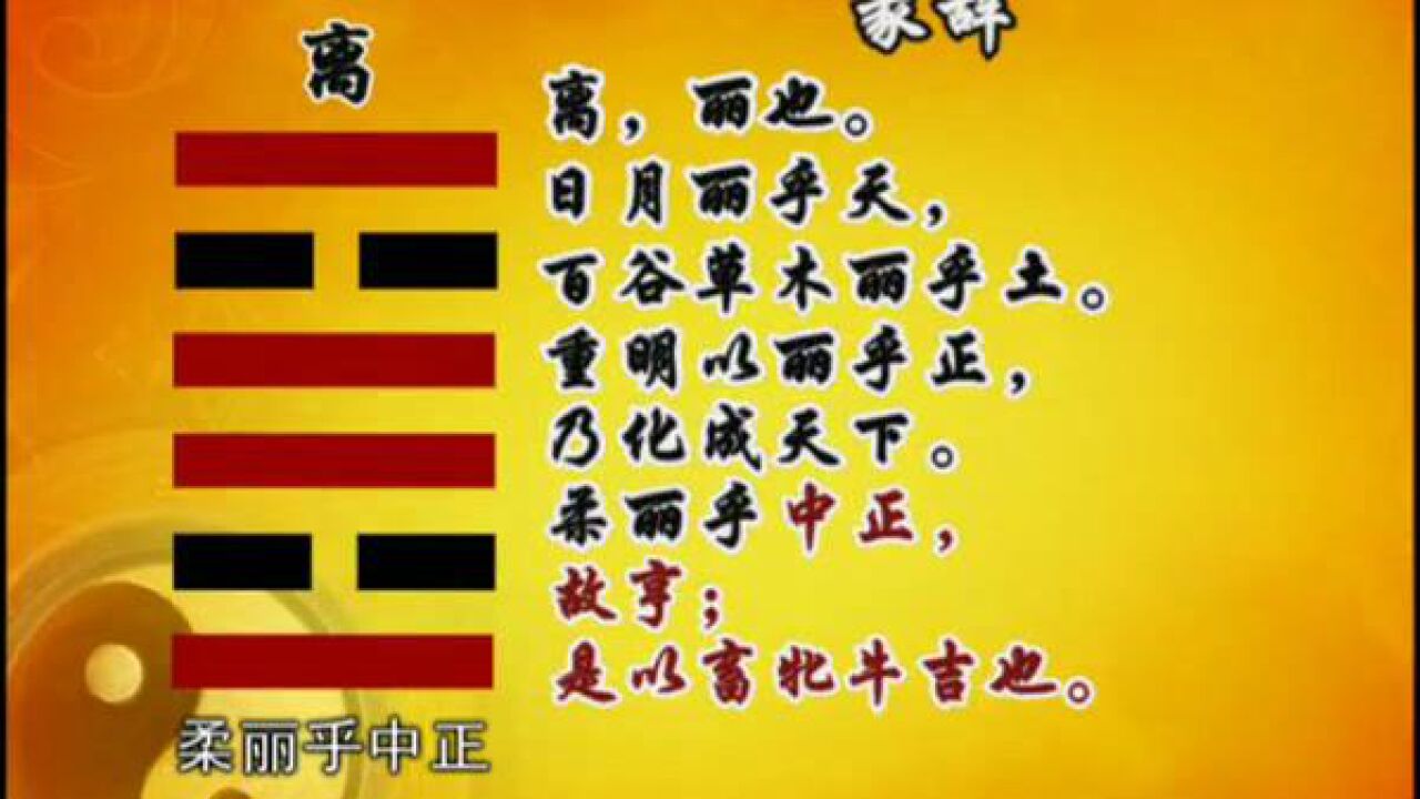 易经的智慧合集_075_易经的智慧_（卦序30）_离卦（上）向上提升_高清1080P在线观看平台_腾讯视频
