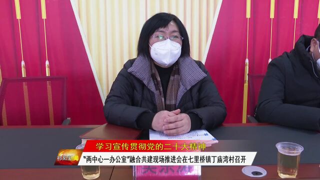 (学习宣传贯彻党的二十大精神)“两中心一办公室”融合共建现场推进会在七里桥镇丁庙湾村召开