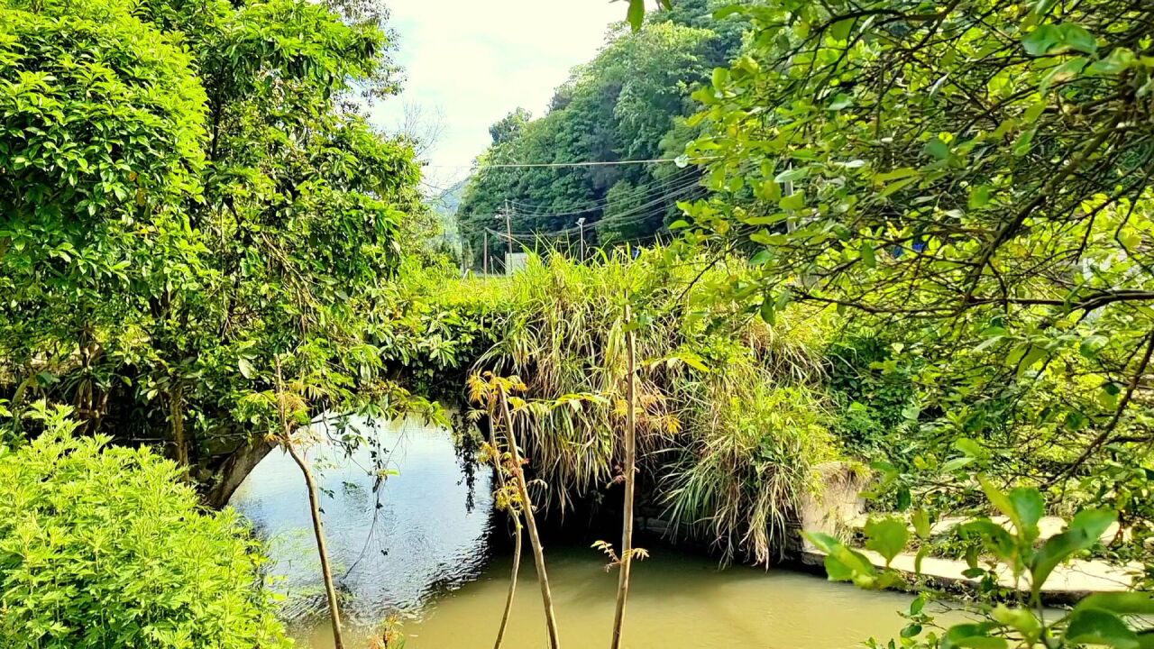 分宜杨桥镇洙塘村委礼教坊村下石桥(江西聂朋)