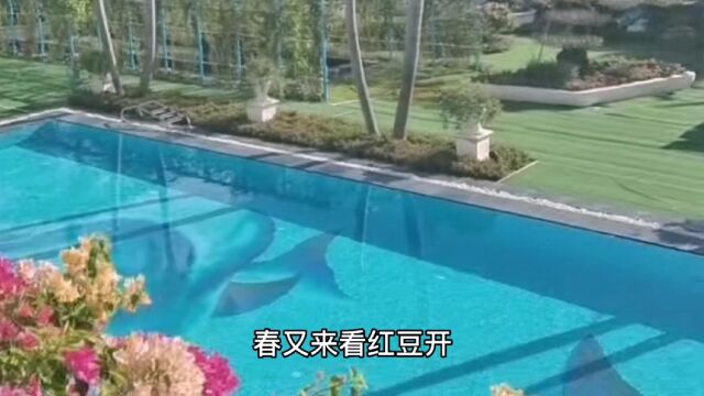 一首毛阿敏的歌曲《相思》,字里行间,真情流露,歌声优美动听