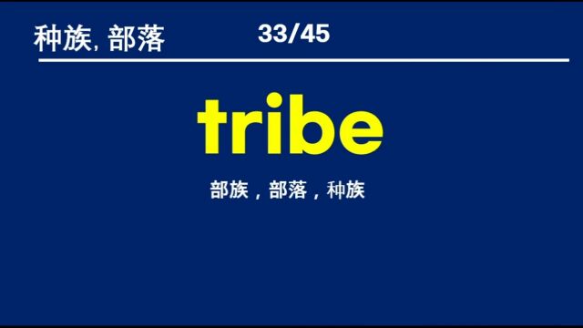 英语近义词、关联词汇学习——6. 亲族、种族