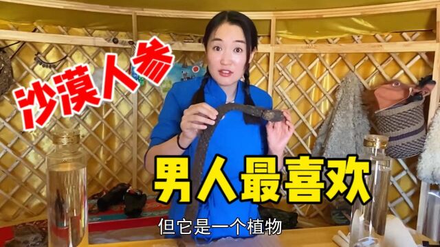 内蒙姑娘送礼姐夫:2根苁蓉锁阳泡62度白酒,夫妻和睦最喜欢