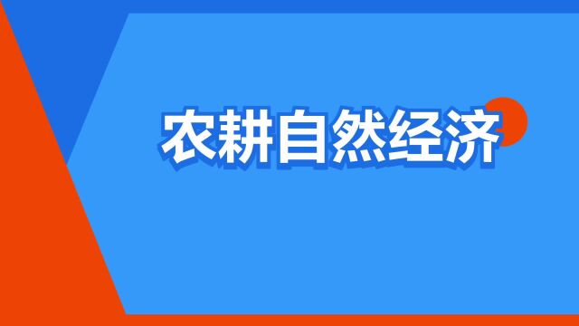 “农耕自然经济”是什么意思?