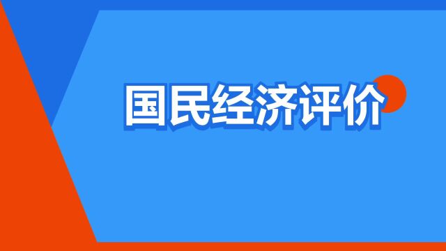 “国民经济评价”是什么意思?