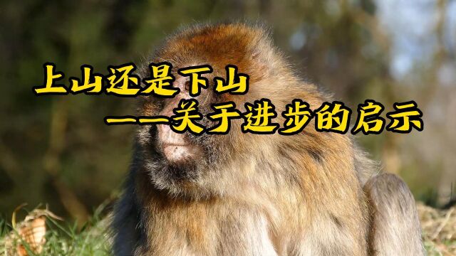 上山还是下山——关于进步的启示