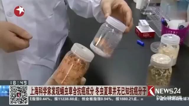 上海科学家发现蛹虫草含抗癌成分 冬虫夏草并无