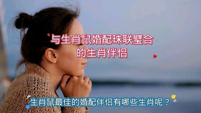 与生肖鼠婚配珠联璧合的生肖伴侣