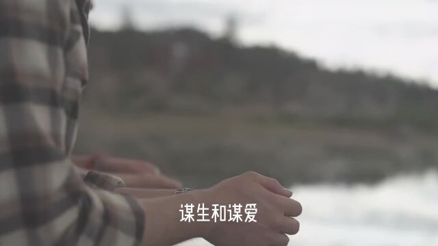 我们一生,都在做两件事:谋生和谋爱