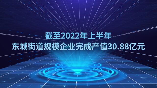 【向人民报告】东城街道:干在实处谋发展 走在前列促赶超