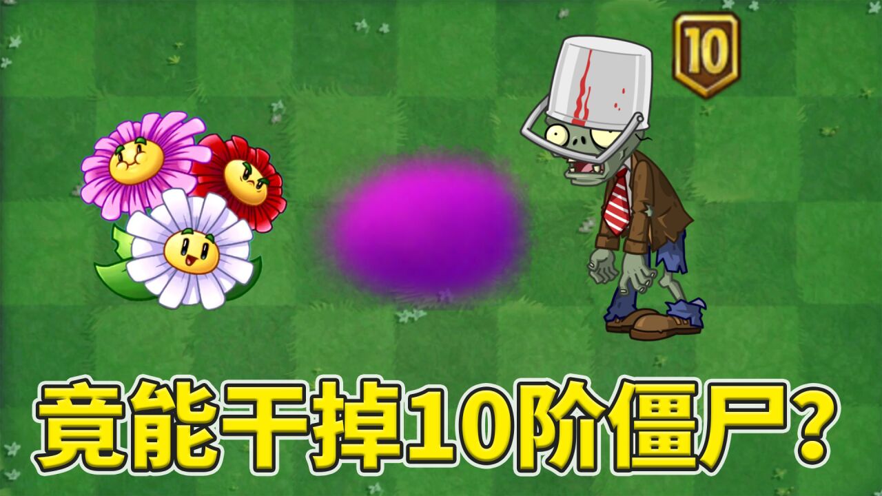 植物大战僵尸2:眩晕雏菊能干掉10阶僵尸?