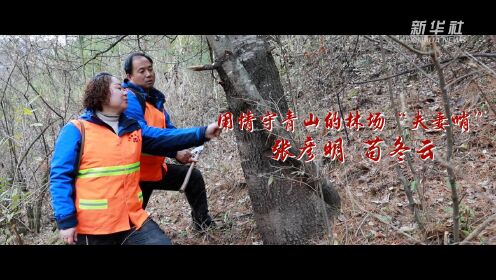 中国网事·感动2022｜用情守青山的林场“夫妻哨”：张彦明、苟冬云