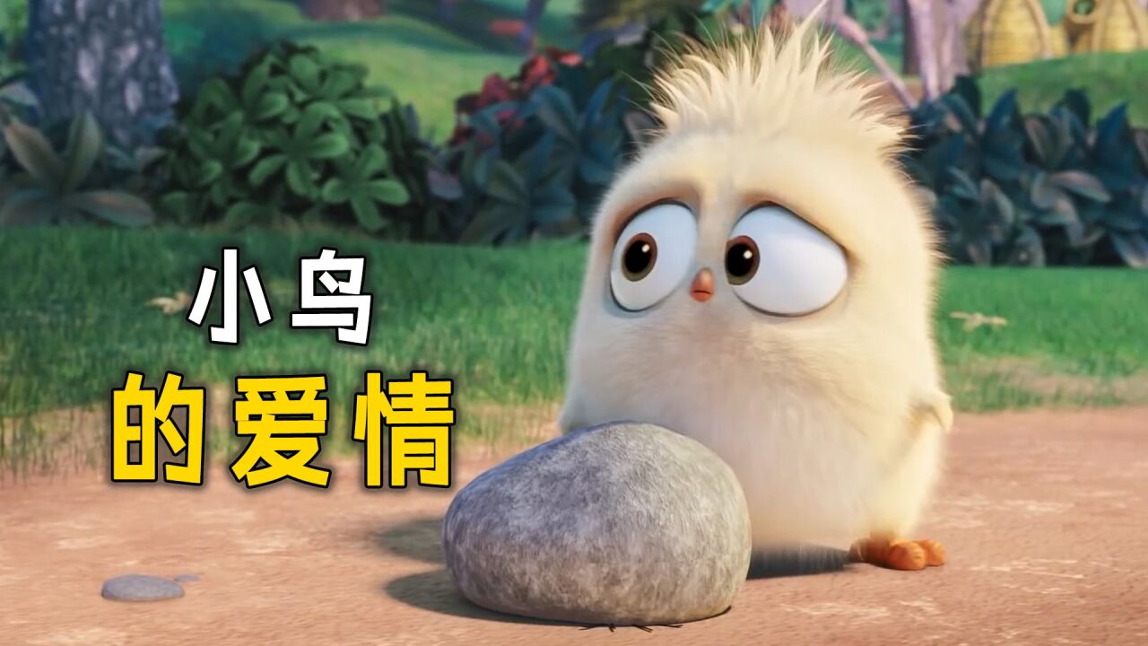 小鸟和蚯蚓的爱情,会有结果吗