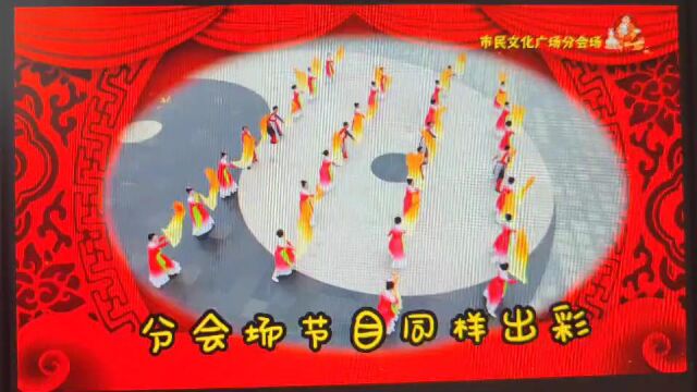 相约安阳电视台 大年初六精彩绽放