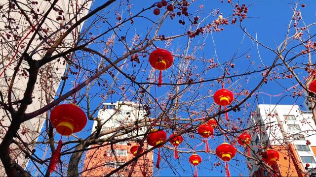 花式晒年味(拍摄于建平县政府)