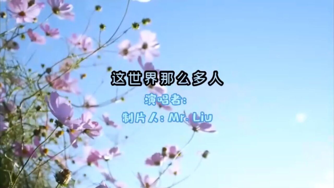 上观看最多的mv=专门看mv