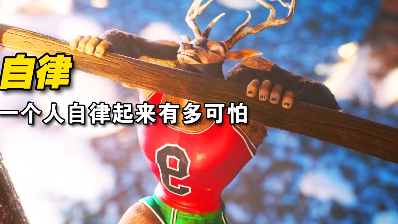 自律的鹿能有多可怕,通过艰苦训练,居然成为拳王,励志