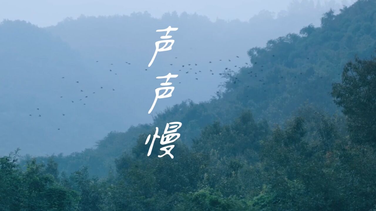 声声慢——李清照诗歌朗诵配乐视频_高清1080P在线观看平台_腾讯视频
