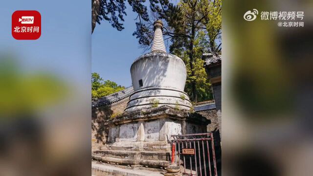 赏白塔,知古韵!初秋京城游塔图鉴,戳视频一分钟尽览