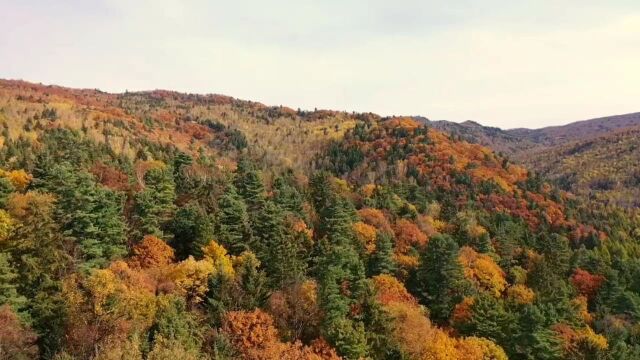 【伊春秋季旅游攻略】林间溪畔的神奇秘境——上甘岭溪水国家森林公园