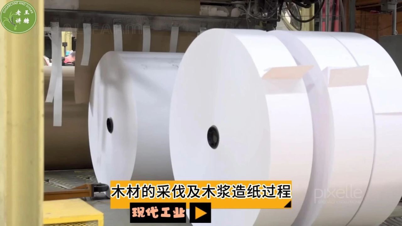 现代工业之——木材的采伐及木浆造纸过程（老王讲糖系列视频）_高清1080P在线观看平台_腾讯视频