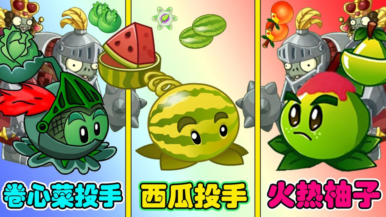 火热柚子vs卷心菜投手vs西瓜投手谁更强?近卫巨人:一个天一个地