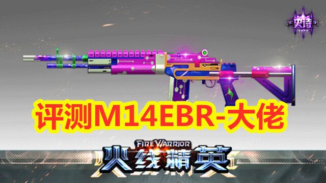 火线精英:评测M14EBR大佬