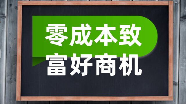 0成本致富好商机,让你轻松赚钱:第一集