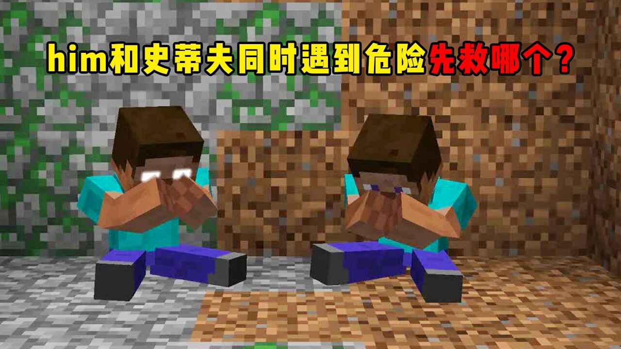 我的世界:him和史蒂夫同时遇到危险,你会选择救谁?