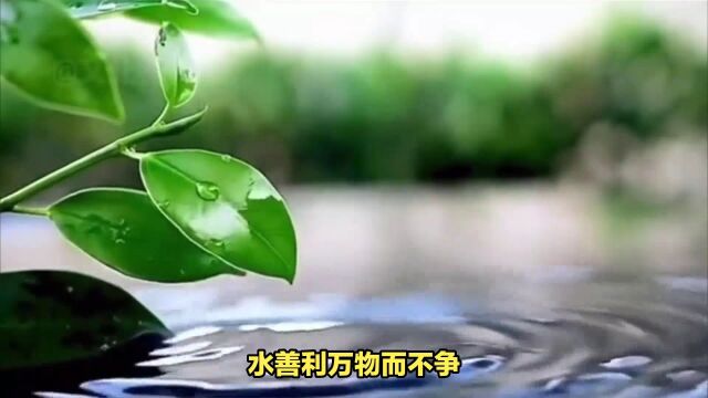 《道德经》第八章上善若水教给我们的道理,要学会适应环境