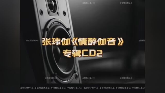 张玮伽《情醉伽音》专辑CD2 #夏日歌会 #唱一首情歌