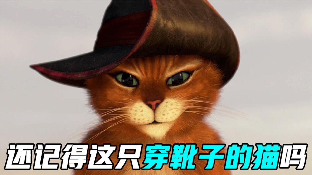 动画界最帅最会卖萌的猫咪,轻松搞笑又解压,电影《穿靴子的猫》_高清1080P在线观看平台_腾讯视频