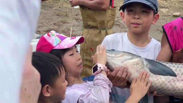 【视频】捉塘底、数鱼花!佛山南海九江举行庆祝丰收节暨水产技能大赛活动